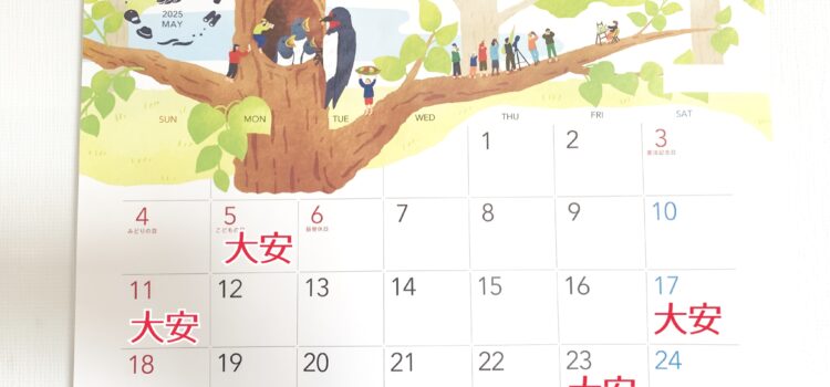 ２０２５年５月の対案情報
